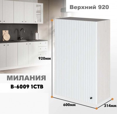 milaniia_v_6009 1stv_1
